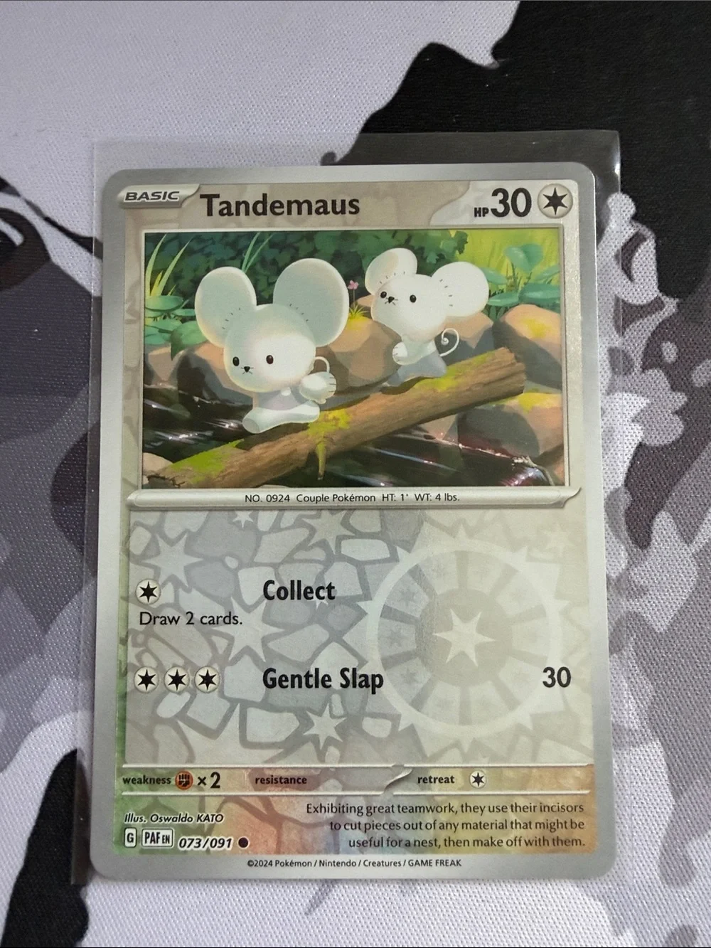 Tandemaus & Maushold Pokémon Evolution Lot 🐭 Reverse Holo | 5 Cards ✨5/$25✨